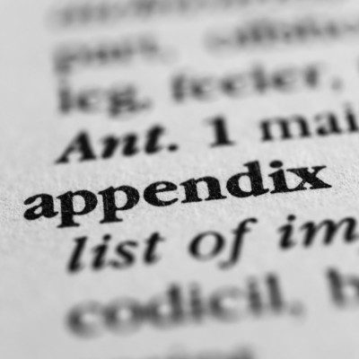 appendix